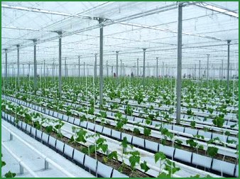 ນະຄອນໂຮ່ຈິມິນ ແລະ ແຂວງ ຈະເຈີງເຊົາ (ໄທ) ເພີ່ມທະວີການ ຊຸກຍູ້ການຮ່ວມມື, ລົງທຶນ